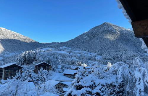 Chalet Olimon - Foto 20