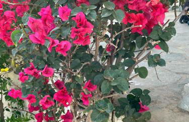 Zante Star Summer House - Photo 22