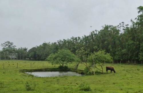 Recanto Bamboo Verde - Foto 15