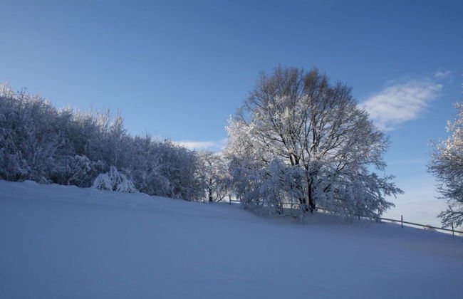 Vakantieappartementen Ender - Foto 18