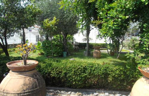 Il nespolo - Photo 10