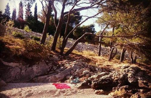 Apartment Sanja - Photo 6