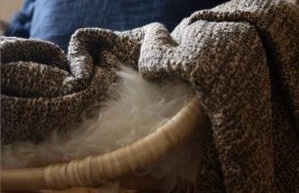 Ferienhaus Sterntaler mit Sauna - Foto 9