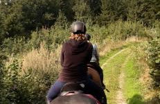 Apartments ideaCasa - Foto 7