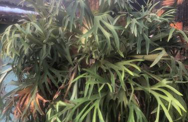 Casa Privativa em Arraial d'Ajuda - 1 Quarto com 2 camas, Cozinha e Banheiro - 10 Minutos do Centro - Sem Estacionamento - Foto 19