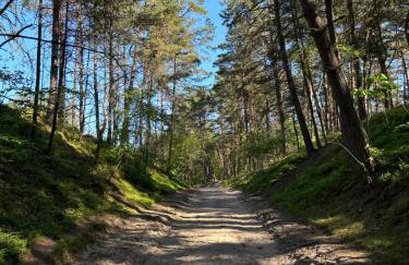 Resort Jantar - Photo 26