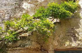 Les Cavelots à Vendôme - Foto 17