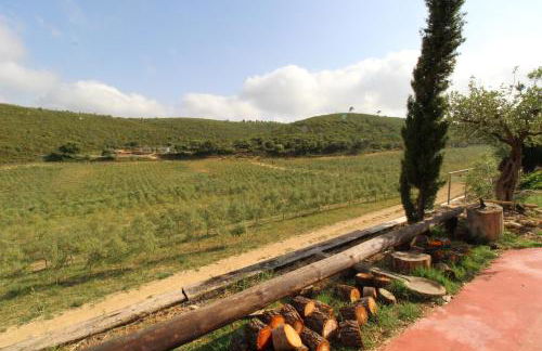 Masia Heredad La Boquilla - Foto 73