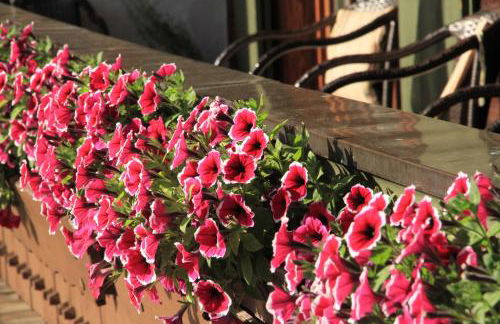 Ferienwohnungen Gastager - Foto 19