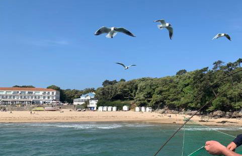 La Maison des Pins - Photo 13