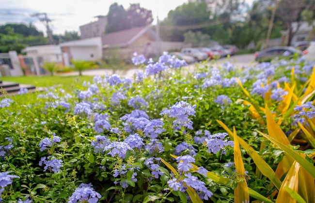 SR Vacation Rental - Foto 53