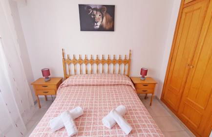 EUROPA I - Playa de Miramar - Foto 53