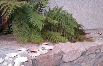 Sunnyside Cottage 2 Bedrooms 1 Bathroom 1 WC 2 Pets Welcome - Foto 26