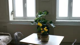 Superbe appartement refait à neuf, plein centre de Lille - Foto 4