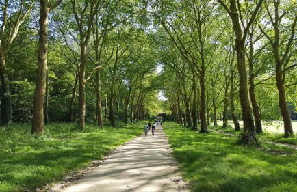 Les Carrés - Foto 47