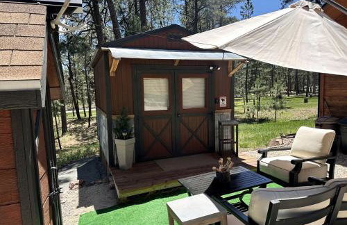 Quaint Rustic Cabin Surrounded by Nature in Black Forest, Colorado - Foto 9