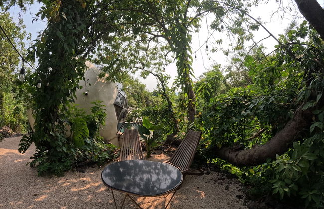 Bosque Geométrico - Foto 69