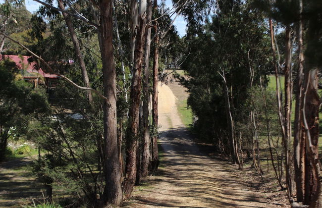 Bells Estate Great Ocean Road Cottages - Foto 51