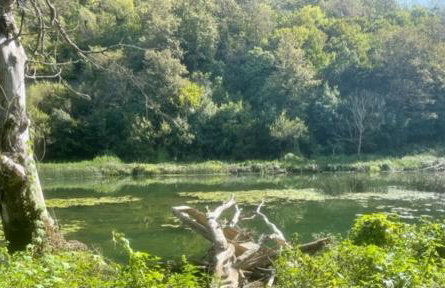 Casa alla Cascata Lučica, Korana - Foto 36