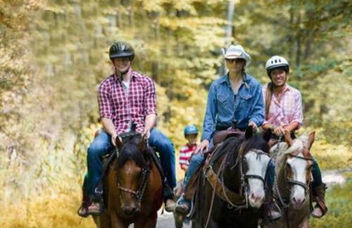 10 guest Ski Chalet Pools Golf Ski Hike - Foto 11