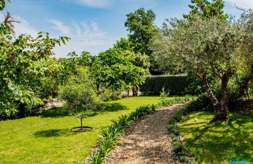 Le Clos des Eucalyptus - Foto 40