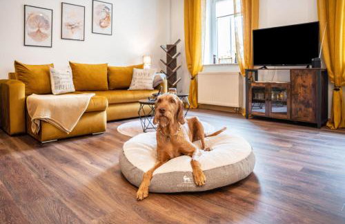 Gästewohnung Auszeit - Foto 4