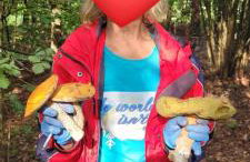 Domki Przy Lesie - Foto 47