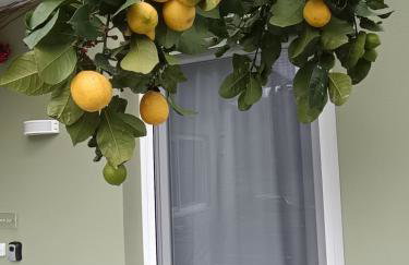 Lemon Tree - Private Garden & View - Foto 9
