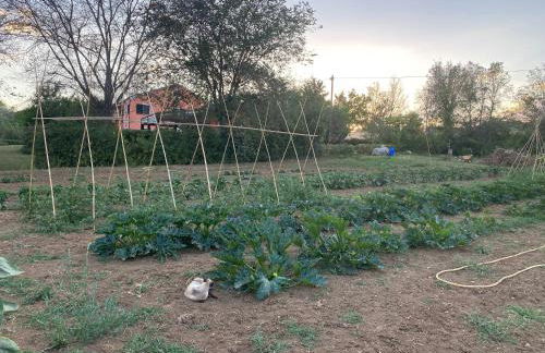 Agriturismo Rossococomero OFFERTA FEBBRAIO! - Foto 37