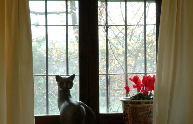 La Casa Rural Cortijo del Zoco Bajo - Foto 22