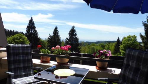 Komfortable Wohnungen und Studio in Sankt Englmar - Foto 3