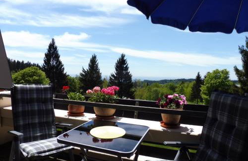 Komfortable Wohnungen und Studio in Sankt Englmar - Foto 3