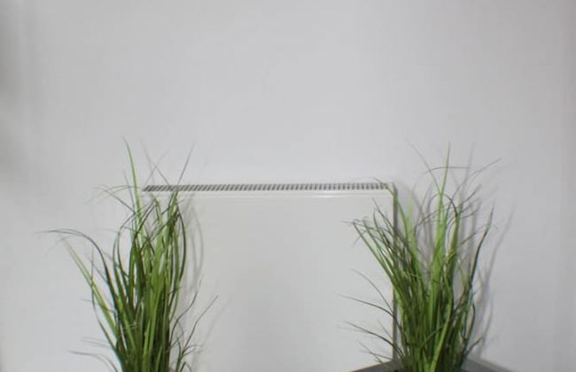 Haus an der Therme - Foto 16