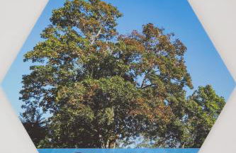 Anima - Atem, Körper und Geist - Foto 20