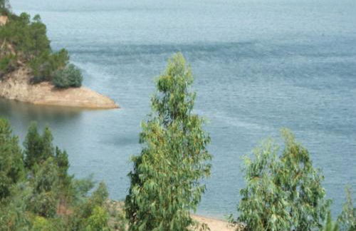 Chão da Lousa - Foto 10