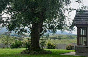 Oaktree Manor - BBQ, games rooms and pet friendly - Photo 44