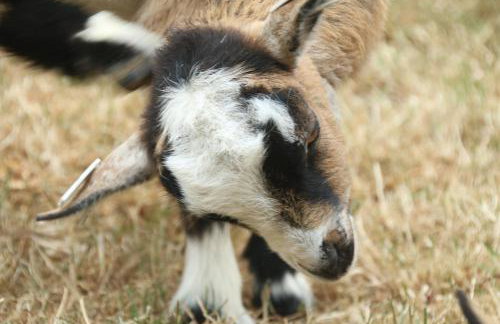 Waterside Lodges Cambridge - Foto 46