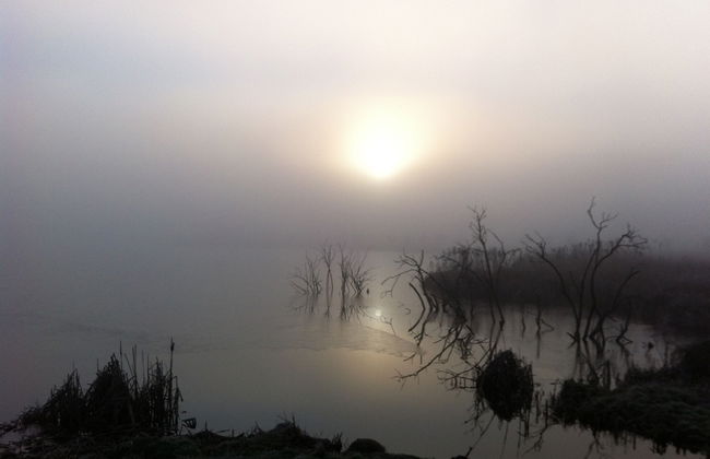 Pfarrhof Stuer - Foto 6