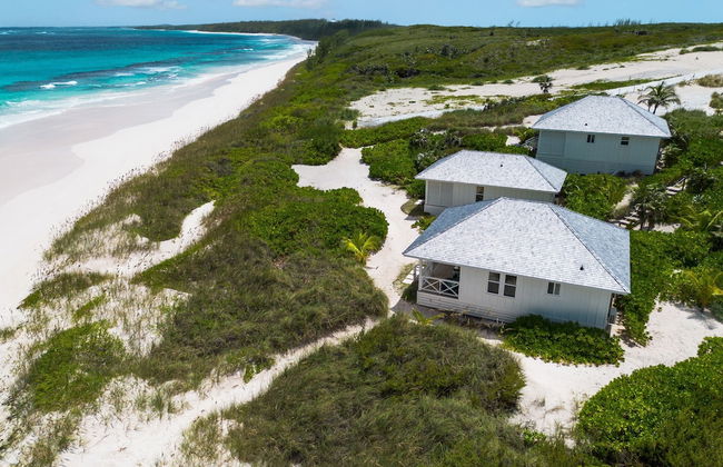 Bohemia Bungalow - Two 1 Bedroom Home - Foto 26