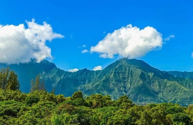 S Of Kamalii 43 3 Bedroom Condo by RedAwning - Foto 33