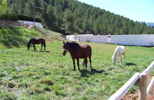 Casa Rural Los Nogales - Foto 28