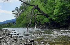 DOMEK LETNISKOWY MYSCÓWKA - Foto 21