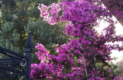 Villa Sandra Hvar - Foto 67