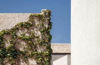 Cala Palme Lampedusa - Foto 63