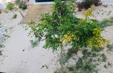 Proche Avignon au calme - Foto 19