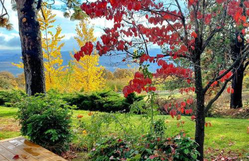 Cherry Heights - Foto 45