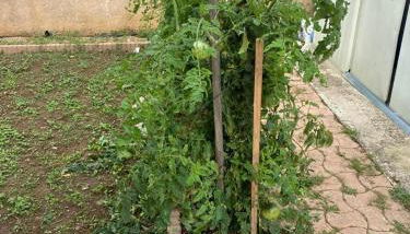 Studio - Carré de Soie Vaulx en Velin - Foto 2