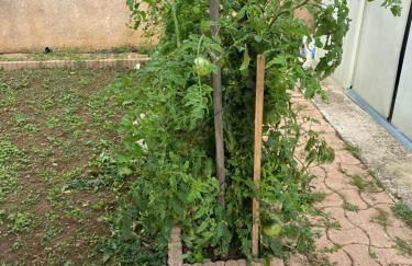 Studio - Carré de Soie Vaulx en Velin - Foto 2