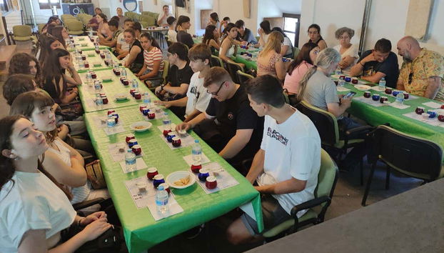 Probaremos diferentes tipos de aceite