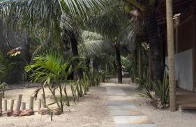 Beach Chalet Preá - Foto 71